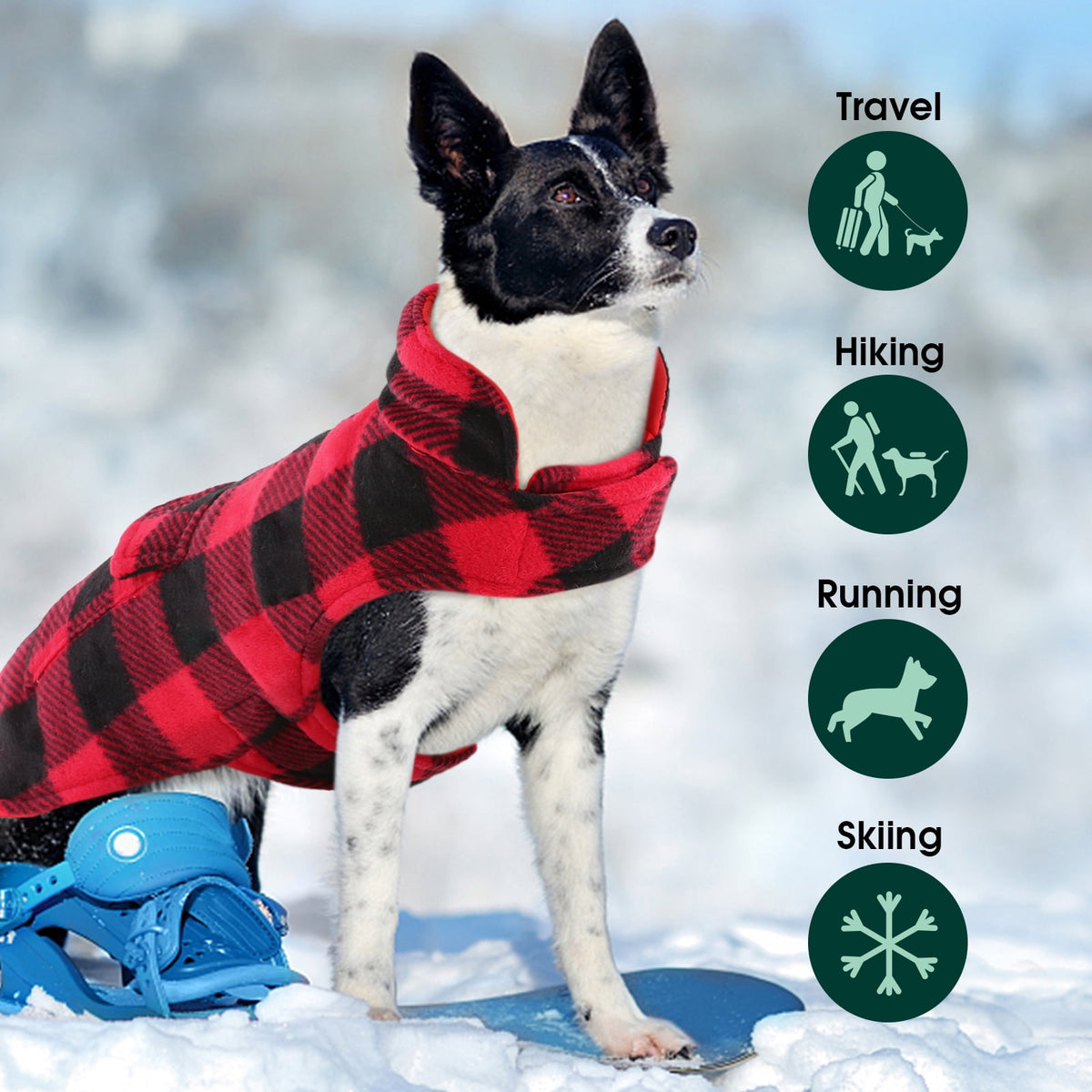 British Style Plaid Dog Winter Coat Size Small S