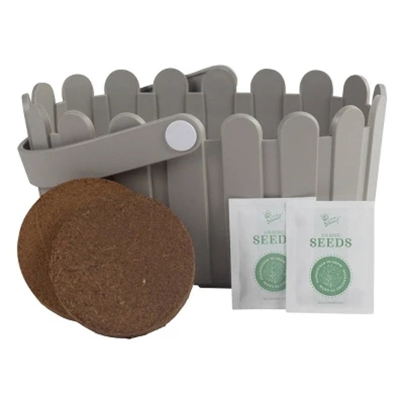 Buzzy Seeds Blossom and Bloom Fresh Cut Flower Garden Seed Kit