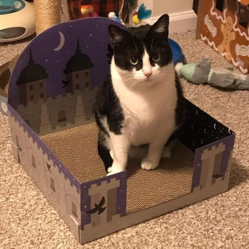 Halloween Castle Theme Cat Scratcher Pad - 15" - Boots & Barkley