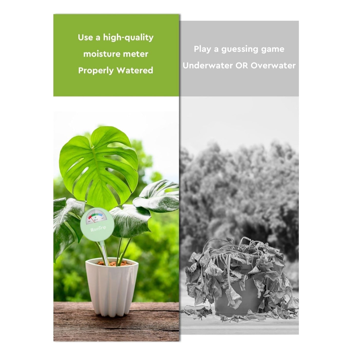 Soil Moisture Meter, Moisture Meter for Plants