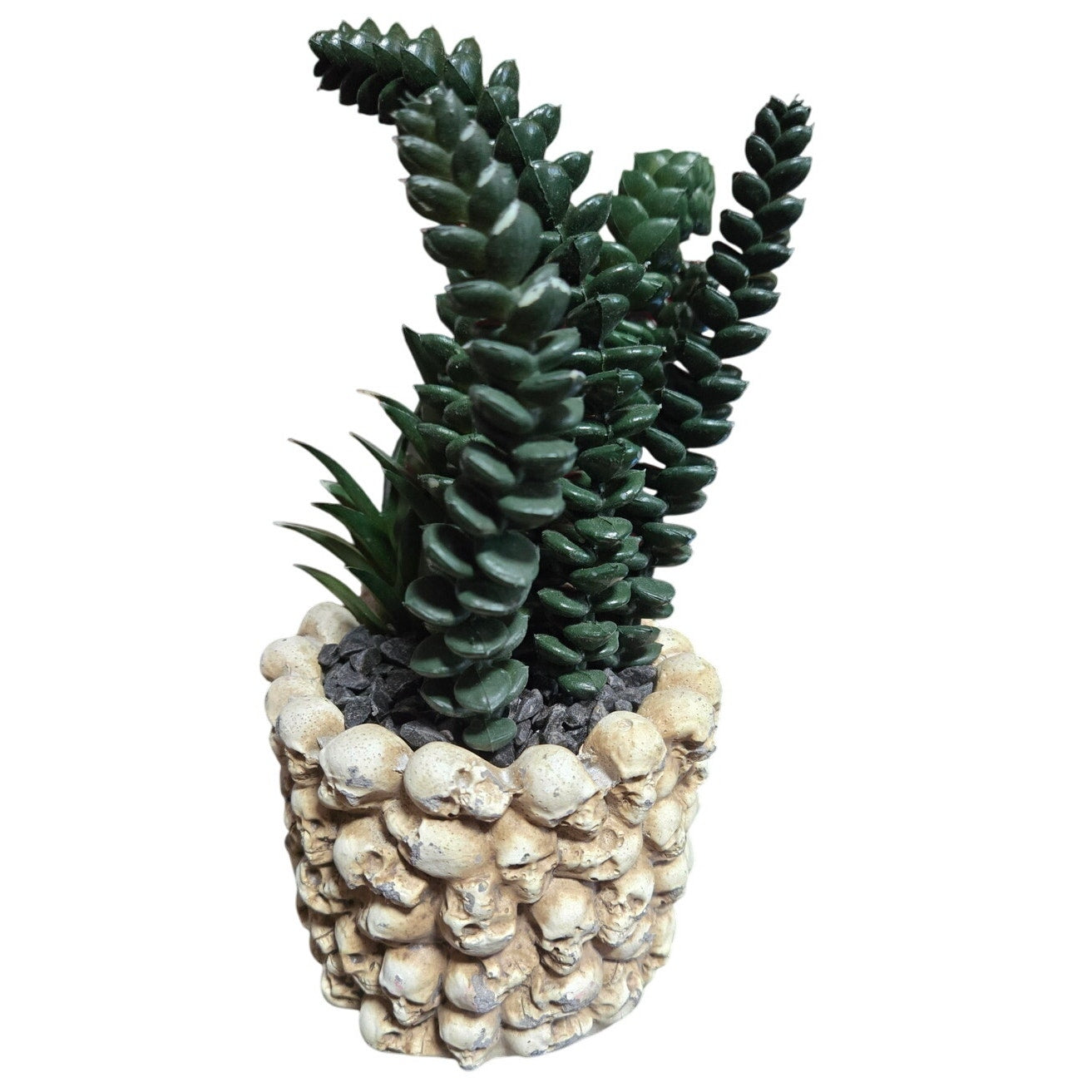 Halloween Skull Planter w/ Artificial Plant Many Mini Skulls on Jar
