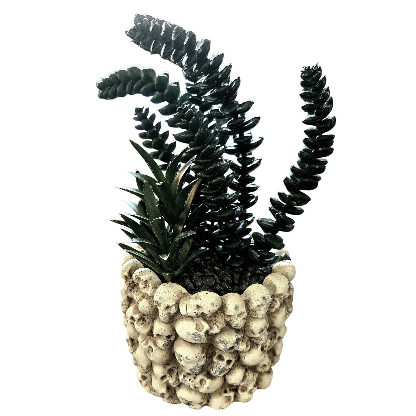 Halloween Skull Planter w/ Artificial Plant Many Mini Skulls on Jar