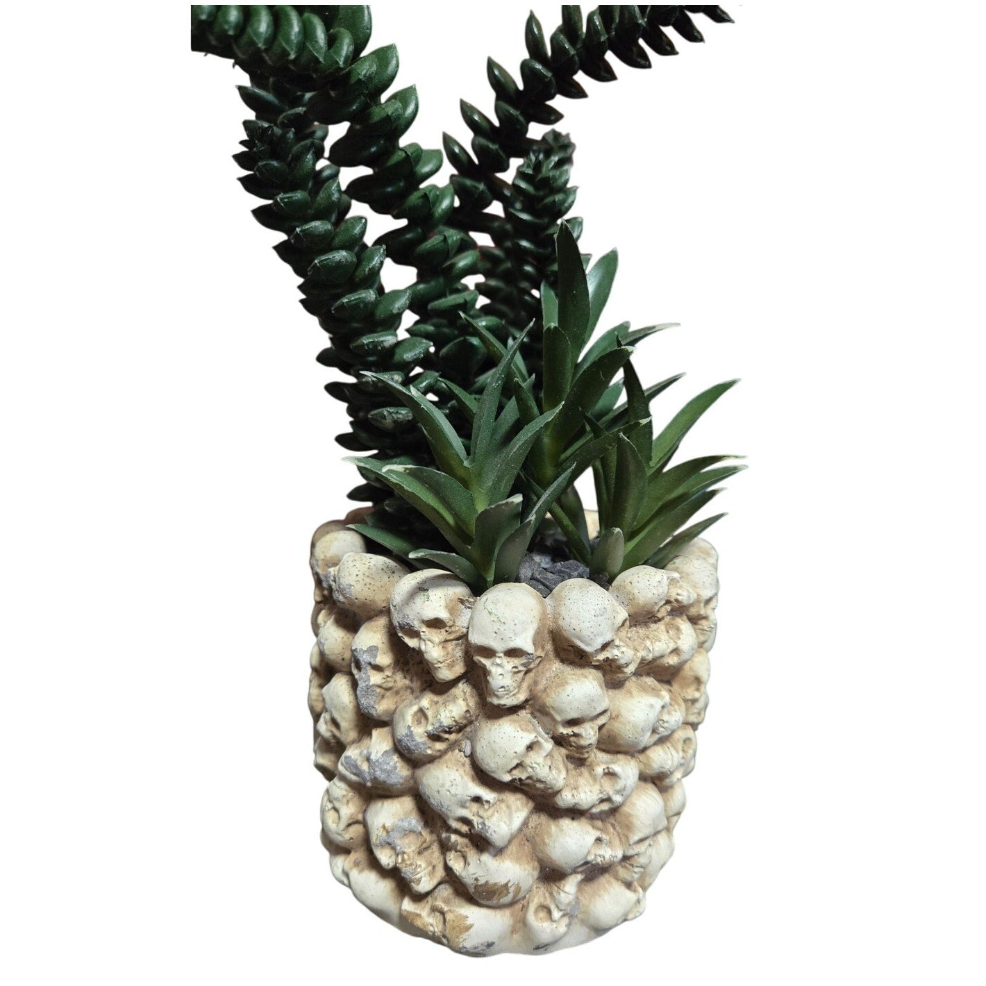 Halloween Skull Planter w/ Artificial Plant Many Mini Skulls on Jar