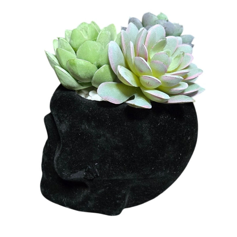 Halloween Decor Flocked Black Skull Planter w/ 3 Artificial Succulents