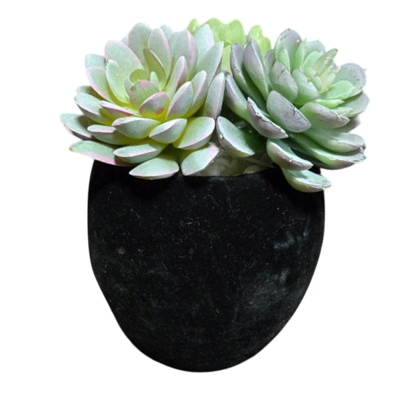 Halloween Decor Flocked Black Skull Planter w/ 3 Artificial Succulents