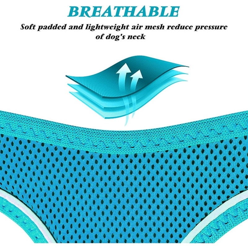 Azuza Dog Harness for Small & Medium Dogs, Size Small