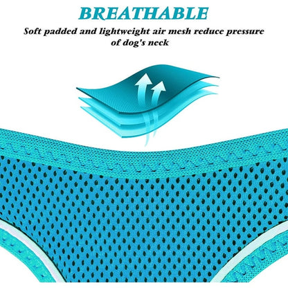 Azuza Dog Harness for Small & Medium Dogs, Size Small