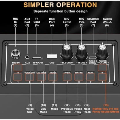 Karaoke Machine with 2 Wireless Microphones