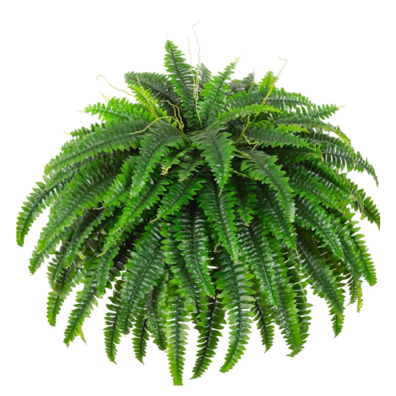 Fake Ferns - Set of 2 Faux Boston Ferns