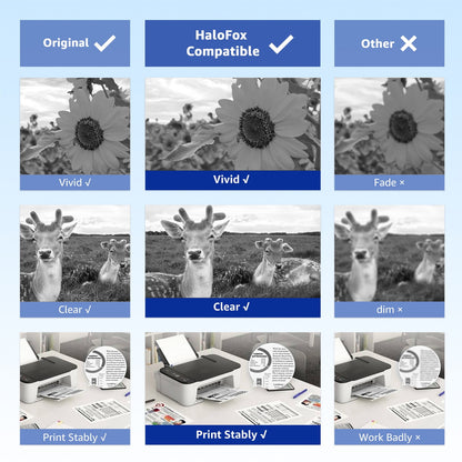 PG 243 Black Ink Cartridge for Canon 243