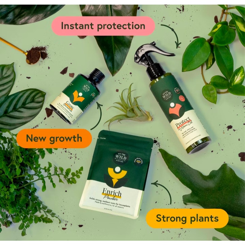 Organic Essential Houseplant Care Kit