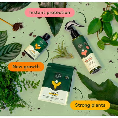 Organic Essential Houseplant Care Kit