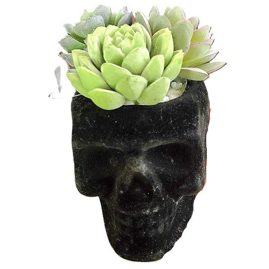 Halloween Decor Flocked Black Skull Planter w/ 3 Artificial Succulents