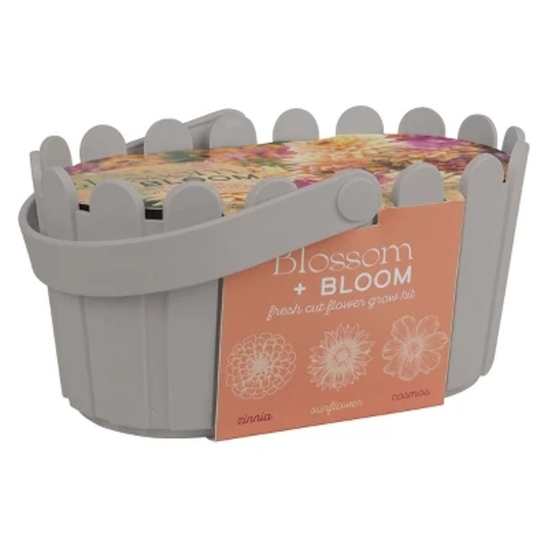 Buzzy Seeds Blossom and Bloom Fresh Cut Flower Garden Seed Kit