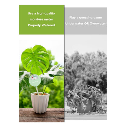 Soil Moisture Meter, Moisture Meter for Plants