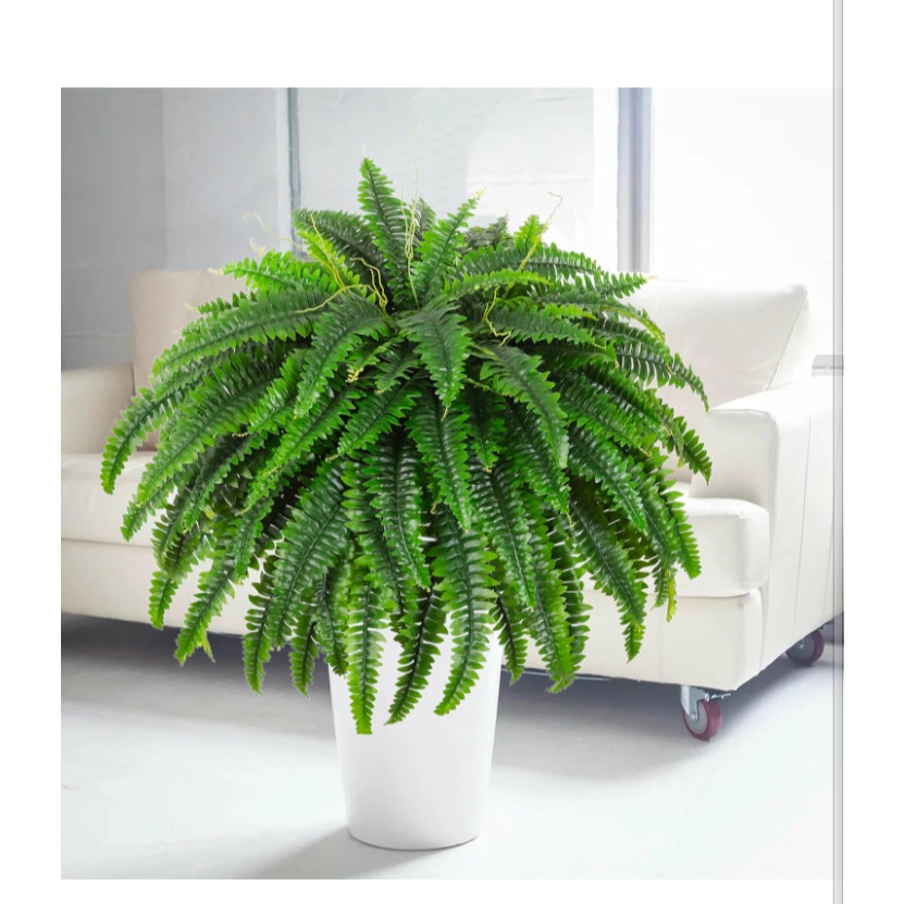 Fake Ferns - Set of 2 Faux Boston Ferns