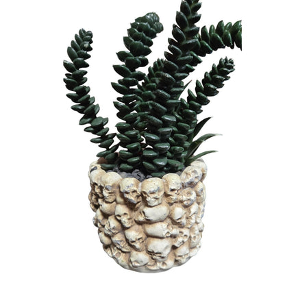 Halloween Skull Planter w/ Artificial Plant Many Mini Skulls on Jar