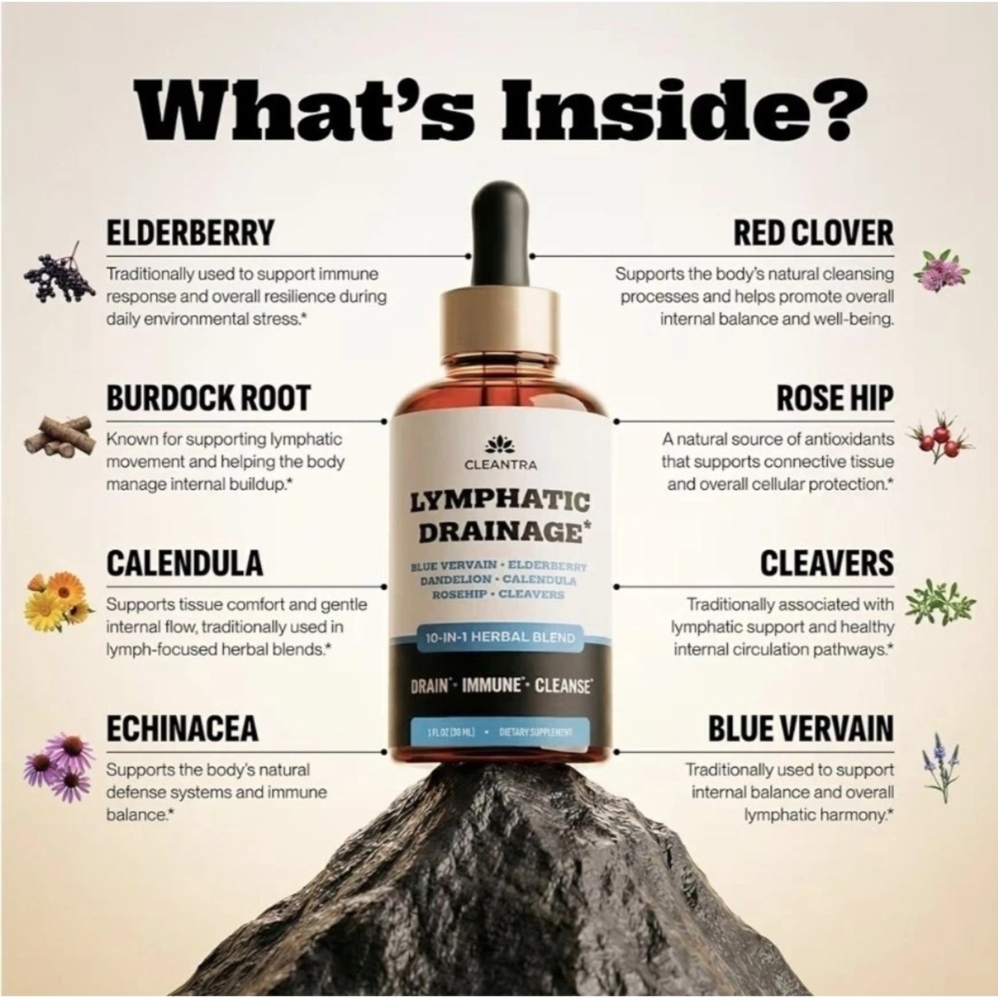 Cleantra Lymphatic Drainage Drops Supplement for Lymphatic Support & Detox 10in1
