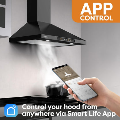 Black Range Hood 30" Wifi Smart Home Device Voice Control Stove Vent 3 Speed Fan Wall Mount