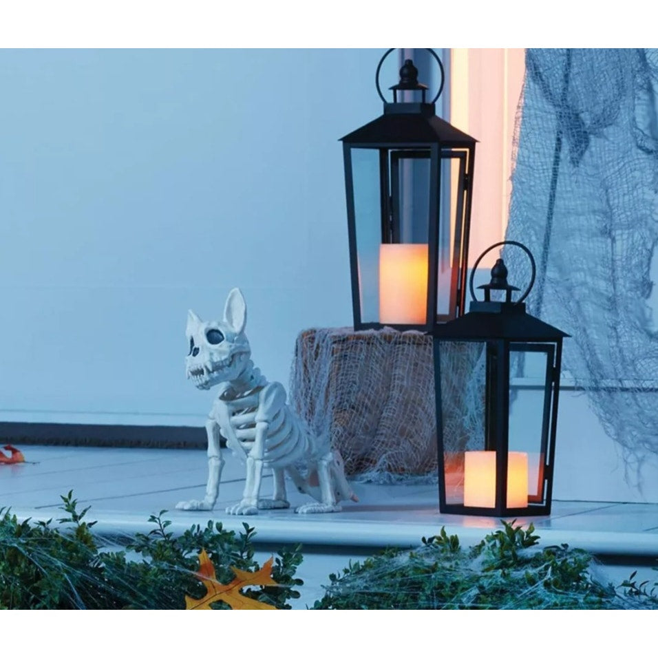 New 11" French Bulldog Skeleton Halloween Decorative Hyde and EEK Indoor/Outdoor