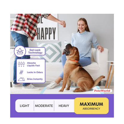 Premium XL Pet Potty Training Pads 50 ct Pack - 30" x 36"