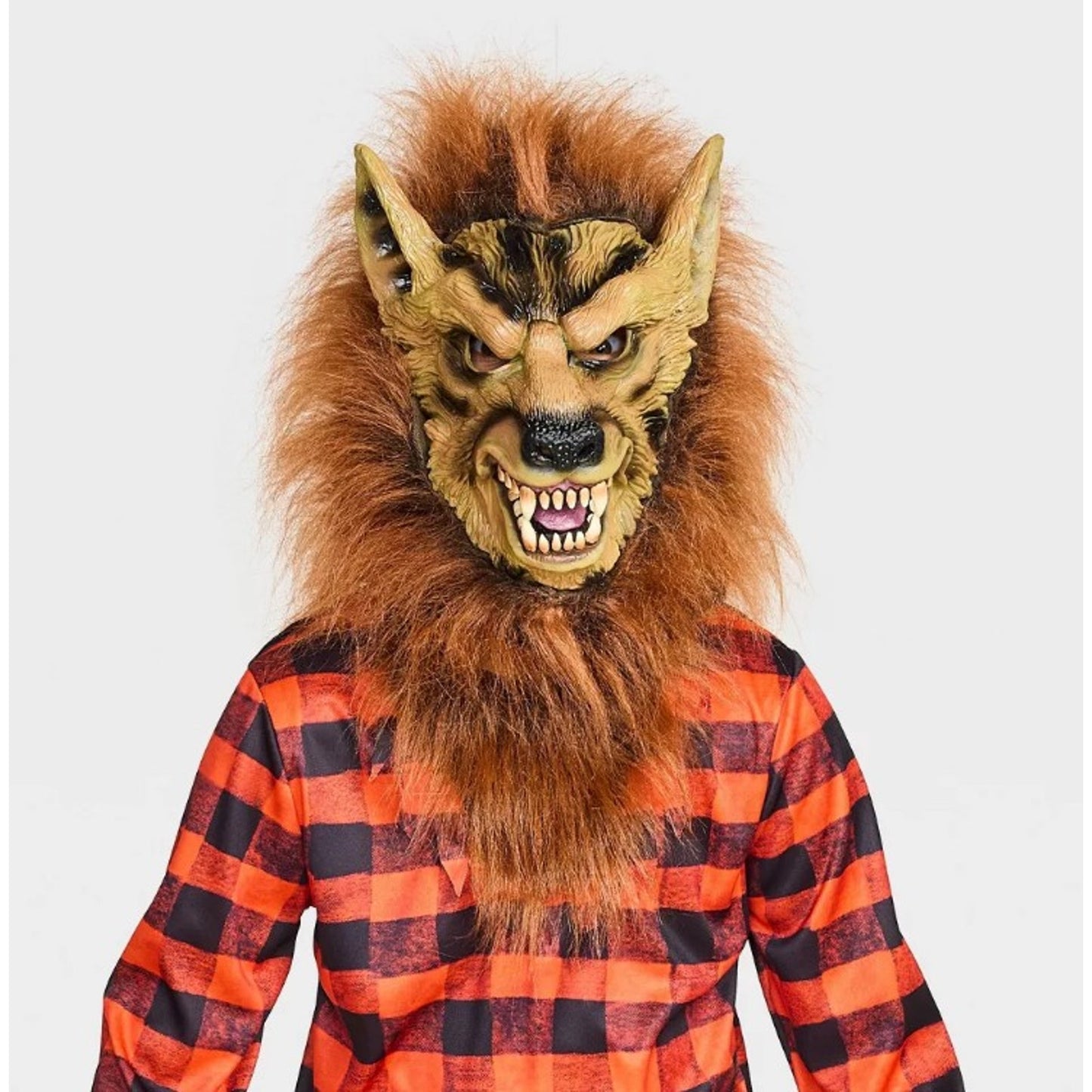 Kids Costume Werewolf Size M Medium (Ages 8-9 or so) Hyde and EEK! Boutique