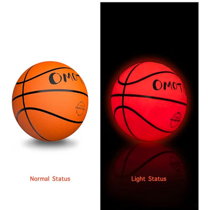 Light Up LED Basketball
