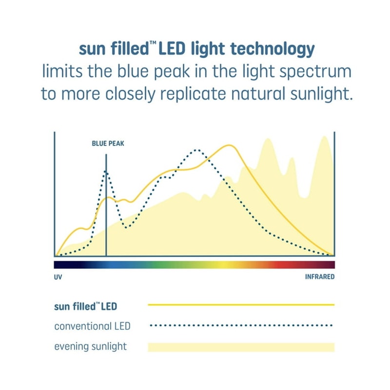 GE Sun Filled LED Light Bulbs, 60 Watt