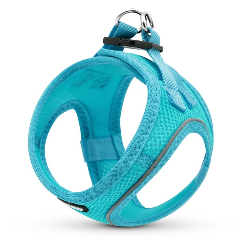 Azuza Dog Harness for Small & Medium Dogs, Size Small