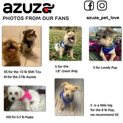 Azuza Dog Harness for Small & Medium Dogs, Size Small