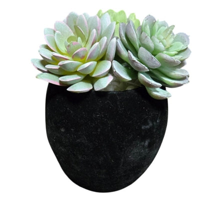 Halloween Decor Flocked Black Skull Planter w/ 3 Artificial Succulents