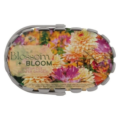 Buzzy Seeds Blossom and Bloom Fresh Cut Flower Garden Seed Kit
