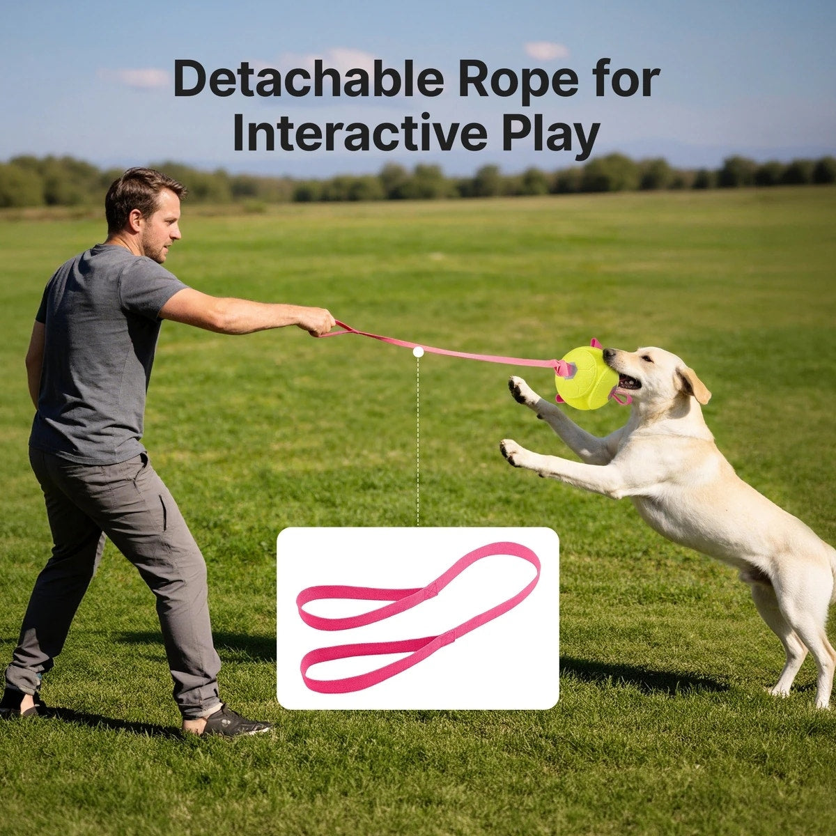 Potaroma 5.9-in Durable Squeaky Dog Ball Toy with Cotton Tug Loops