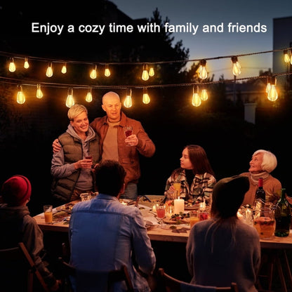 100ft Outdoor String Lights