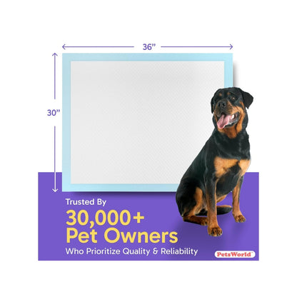 Premium XL Pet Potty Training Pads 50 ct Pack - 30" x 36"