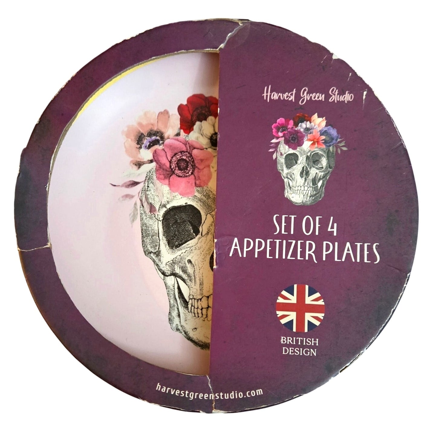 NEW Pink Rose Skull Plates Porcelain Salad Dessert Appetizer Set Of 4 for Halloween