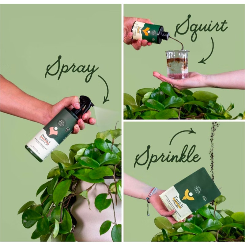 Organic Essential Houseplant Care Kit