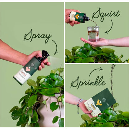 Organic Essential Houseplant Care Kit