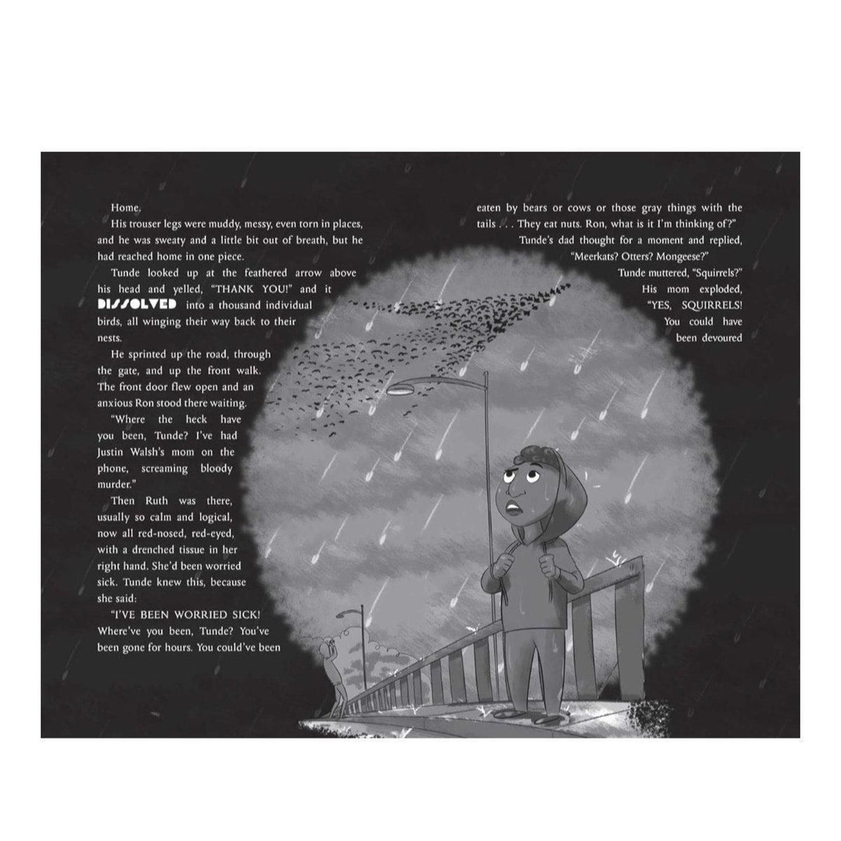 The Boy With Wings Childrens Chapter Book by Lenny Henry
