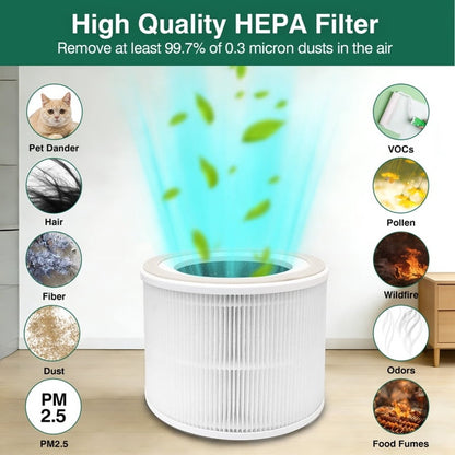 2 Pack H13 HEPA Replacement Filters | Compatible with Dreo Air Purifier DR-HAP004