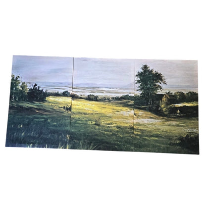 3 piece Natural Country Canvas Print Set Wall Art Picture (22" x 14" each)