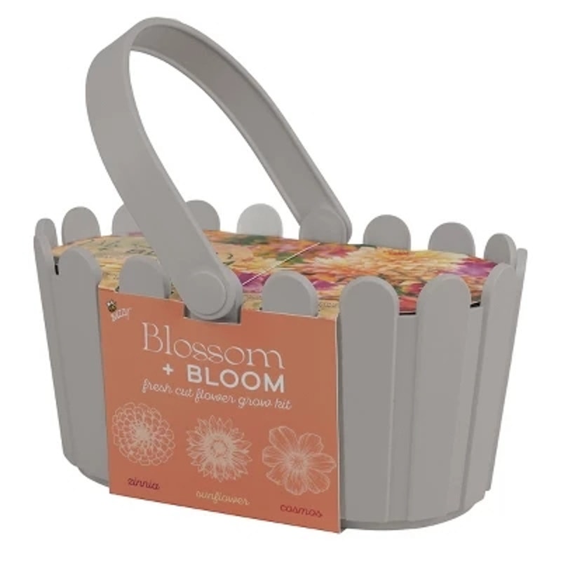 Buzzy Seeds Blossom and Bloom Fresh Cut Flower Garden Seed Kit
